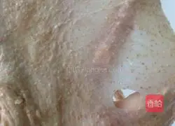 Honey Whole Wheat Meal Bun Recipe Illustration 2