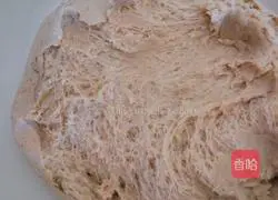 Chocolate Illustration of how to make little hedgehog steamed buns 4