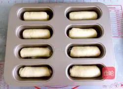 Jenny's Mini Hot Dog Buns Recipe Illustration 9