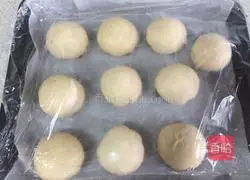 Illustration of how to make mustard vegetable and fresh meat mooncakes 16