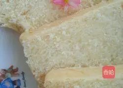 Illustration of how to make toast 19