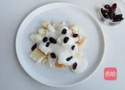 Toast Cranberry Yogurt Recipe Illustration 5