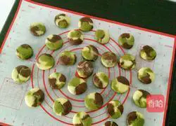 Camouflage cookies Practice illustration 17