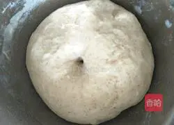 Whole wheat milk toast recipe 9