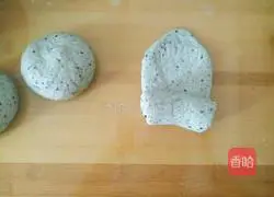 Polish black sesame seeds Illustration of the company’s approach 10