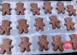 Chocolate Cocoa Bear Cookies Recipe Illustration 14