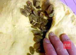 Pumpkin Raisin Bread Recipe Illustration 9