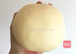 Emmental cheese toast recipe 11