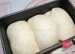 Whole wheat toast recipe illustration 9