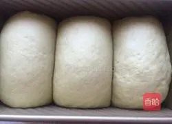 Illustration of how to make matcha honey bean toast 13