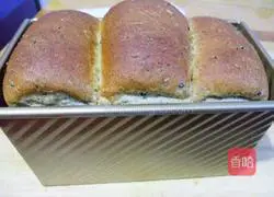 Polish black Illustration of making sesame toast 13