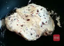 Cranberry Nougat Recipe Illustration 7