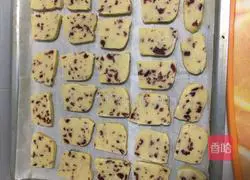 Cranberry Cookies Recipe Illustration 8