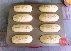 Jenny's Mini Hot Dog Buns Recipe Illustration 10