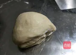 Illustration of how to make hamburger embryos (without mold version) 8