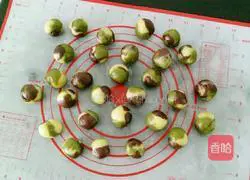 Camouflage Illustration of how to make cookies 16