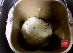 Oatmeal Cranberry Toast Recipe Illustration 4