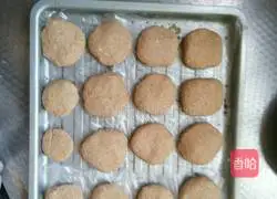 100% whole wheat bread recipe 4