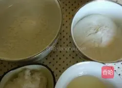 Illustration of how to make custard snowskin mooncakes 1