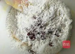 Cranberry Illustration of how to make cookies 4