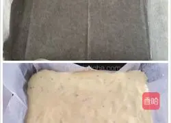 Cranberry Cake Roll Recipe Illustration 11