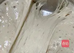 Recipe for 100% whole wheat toast Illustration 3