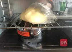 Honey bread recipe 4