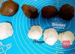 Giraffe vomit Illustration of the company’s approach 6