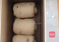 Illustration of how to make bacon toast 6