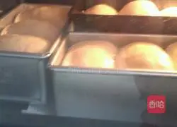 Tangzhong bean paste toast recipe 10