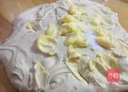 Whole wheat dried fruit toast recipe 3