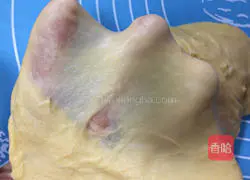 Illustration of how to make salad colored meat floss bread 5