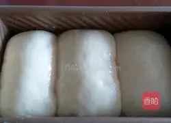 Illustration of how to make super soft toast (filmed in 20 minutes by hand) 17