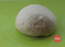 Full Illustration of making wheat toast 10