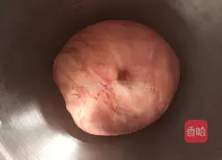 Illustration of how to make two-color water cube toast bread 5