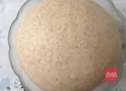 Honey Whole Wheat Meal Bun Recipe Illustration 3