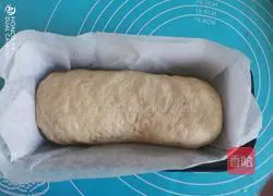 Cinnamon Walnut Toast Recipe Illustration 12