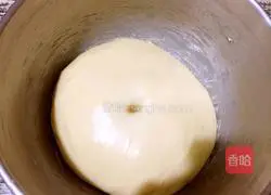 Vienna Bread Recipe 7