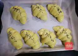 Crispy Croissant (Croissant) Recipe Illustration 13