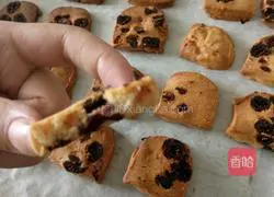 Cranberry Cookies Illustration of how to do it 13