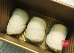 Whole wheat toast recipe 4