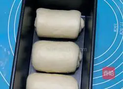 100% whole wheat toast recipe 12