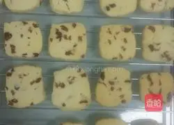 Cranberry Cookie Recipe Illustration 10