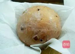 Illustration of how to make chocolate yogurt bread 7