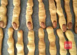 Illustration of finger biscuits 10