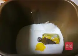 Walnut whole wheat bread recipe 2