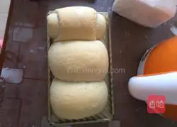 Illustration of failed toast recipe 2