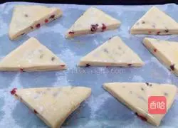 Cranberry whole wheat scone recipe 19