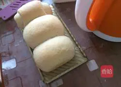 Failed vomiting Illustration of the company’s approach 4