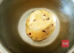 Baby Cranberry Cookies Recipe Illustration 8